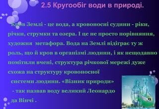 Альдостерон: що це таке та яку роль відіграє в організмі людини?