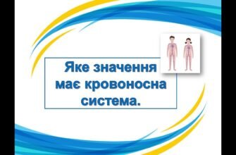 Аспартатамінотрансфераза: що це і яке значення має для здоров’я