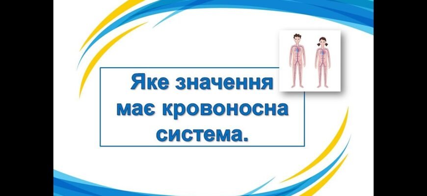 Аспартатамінотрансфераза: що це і яке значення має для здоров’я