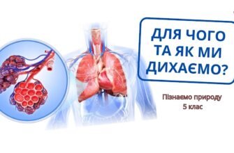 ЕНМГ: Що це таке, як проводиться та для чого потрібне обстеження
