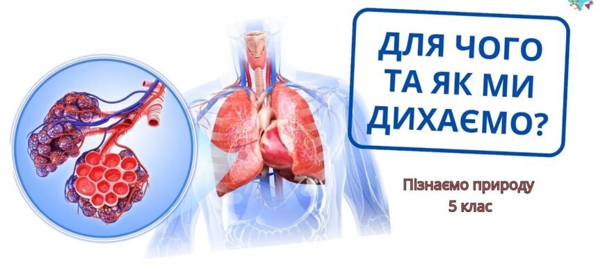 ЕНМГ: Що це таке, як проводиться та для чого потрібне обстеження