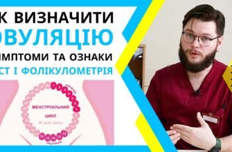 Фолікулометрія: що це таке і як вона допомагає в плануванні вагітності?