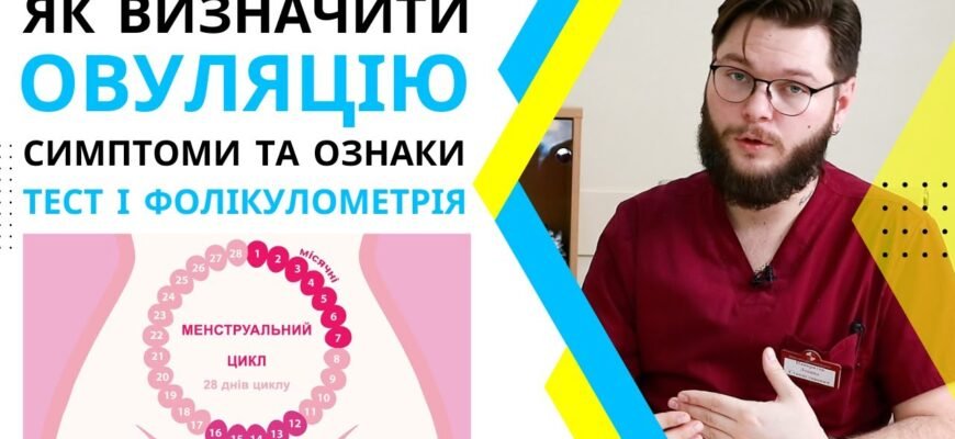 Фолікулометрія: що це таке і як вона допомагає в плануванні вагітності?