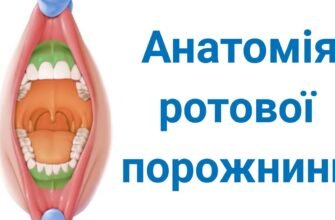 Гастроентерологія: ключ до здоров’я вашої травної системи
