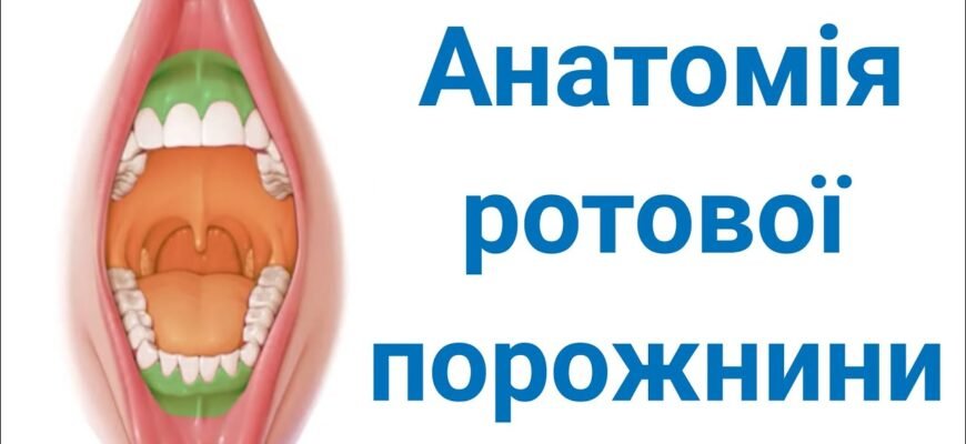 Гастроентерологія: ключ до здоров’я вашої травної системи
