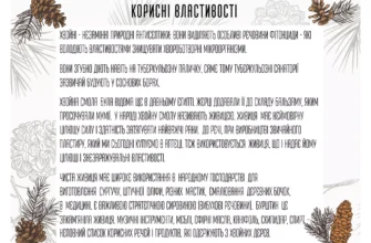 Каніфоль: що це таке, властивості та застосування в повсякденні