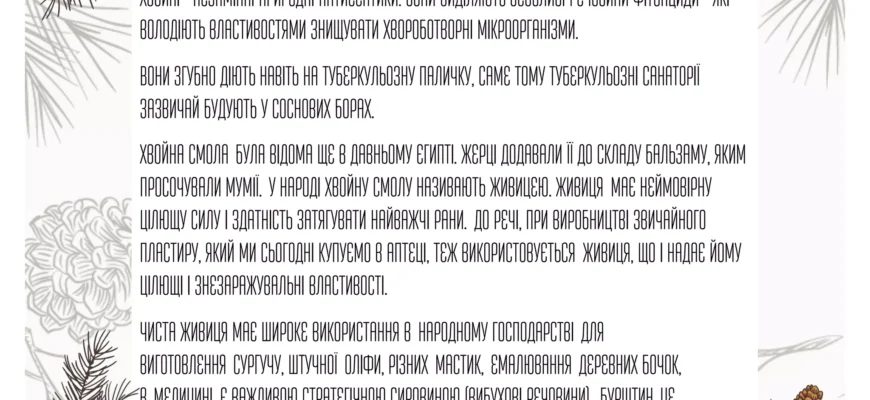 Каніфоль: що це таке, властивості та застосування в повсякденні