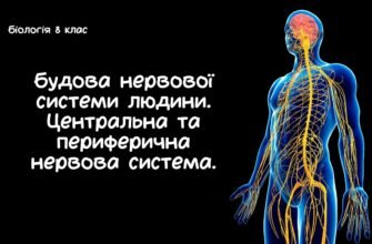 Когнітивні порушення: що це таке і як їх розпізнати та лікувати