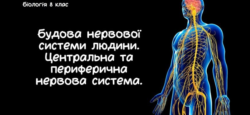 Когнітивні порушення: що це таке і як їх розпізнати та лікувати