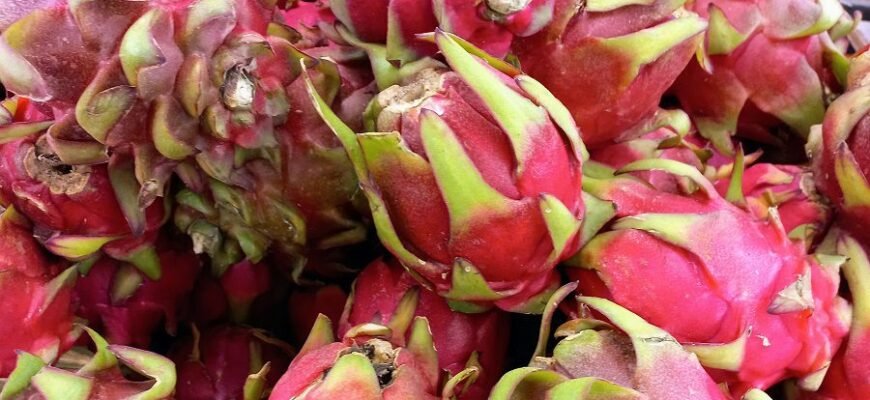 Лічі: Користь, калорійність та як вибрати свіжі фрукти