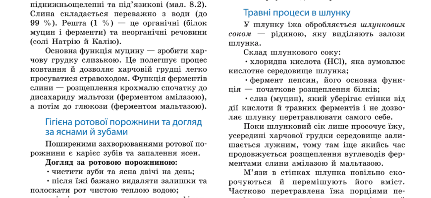 Що таке амілаза: функції, норми і значення для здоров’я людини