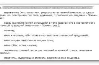 Що таке халяль: Основи та принципи халяльної сертифікації їжі