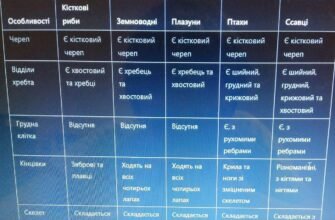 Що таке СКД: Все про системи контролю доступу та їх використання