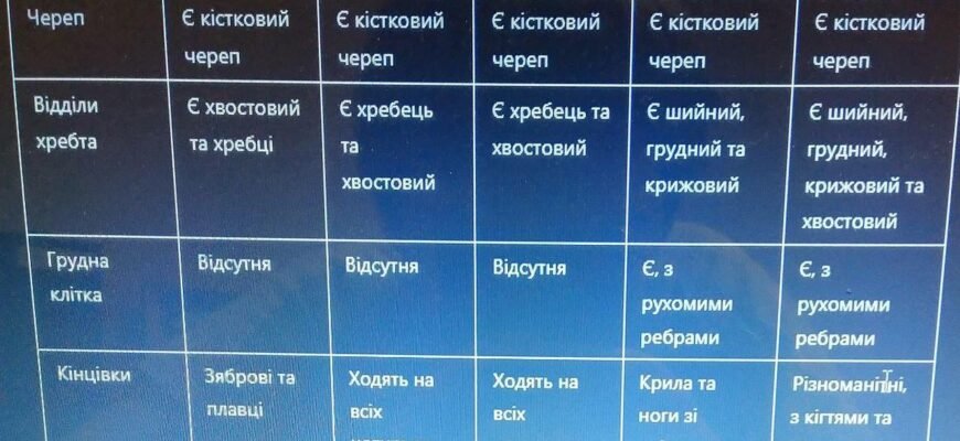 Що таке СКД: Все про системи контролю доступу та їх використання