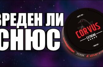 Снюс — небезпечний наркотик: вплив на здоров’я та залежність